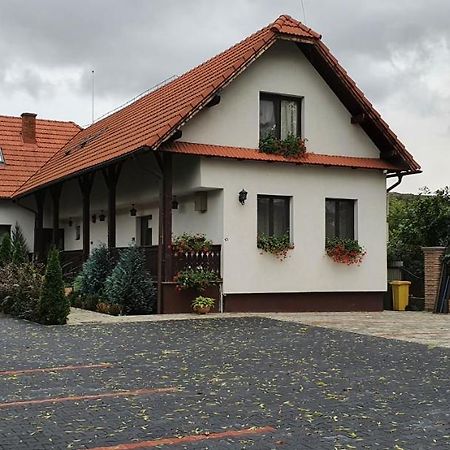 Casa Cu Pridvor Hotel Băile Felix Eksteriør billede